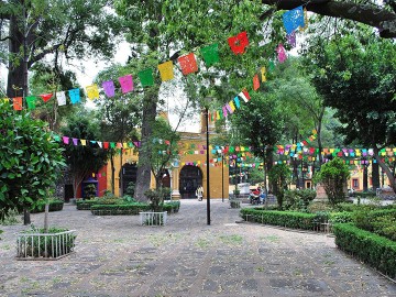 Coyoacan and Frida